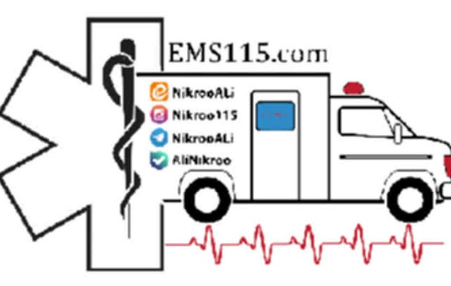 ems115.com